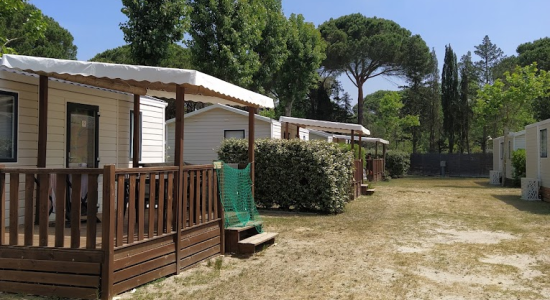 La Grande Motte (34)