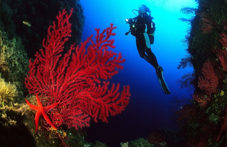 Le Monde Subaquatique