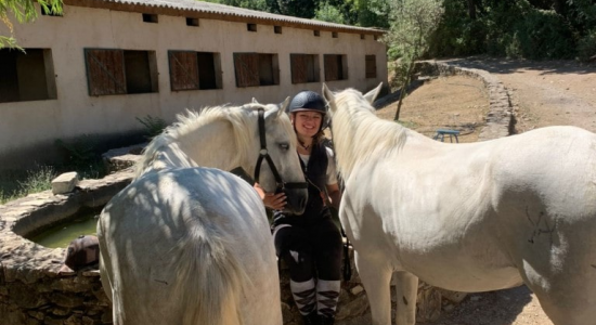 Cocktail Equitation