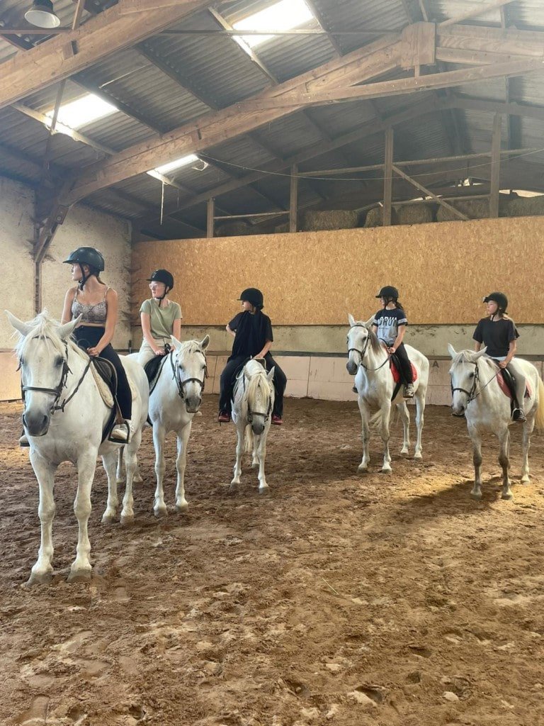 Cocktail Equitation