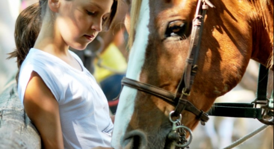 Cocktail Equitation