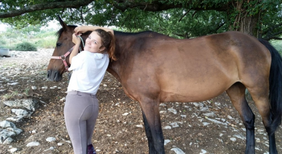 Cocktail Equitation