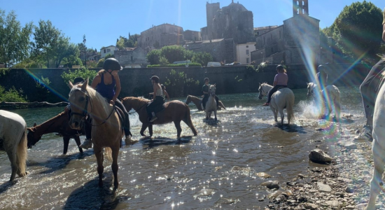 Cocktail Equitation