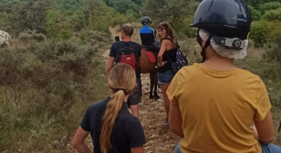 Petit Galop