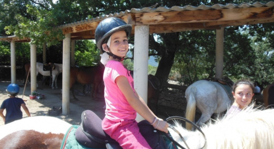 Petit Galop