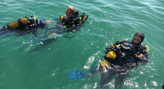 Le Monde Subaquatique