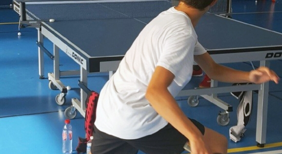 Du Ping au Tennis de Table