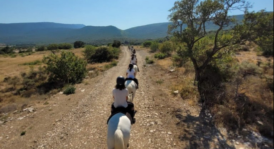 Evasion à Cheval