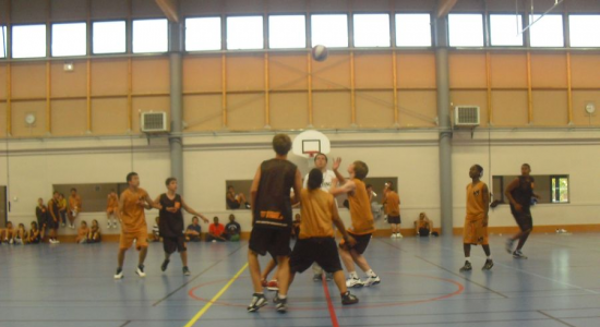 SUMMER BASKET CAMP