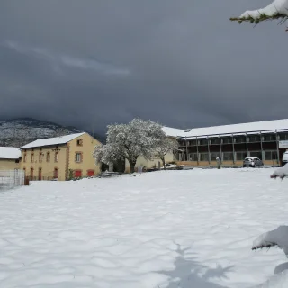 La Vignole (66)