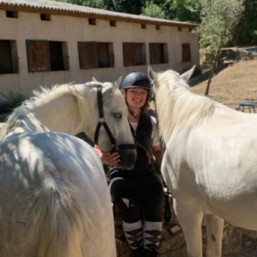 Cocktail Equitation