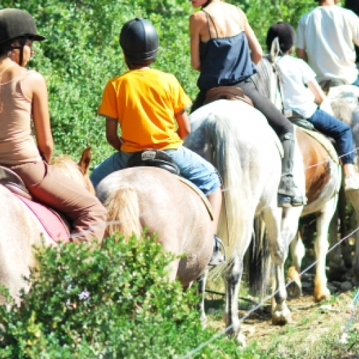 Evasion à Cheval