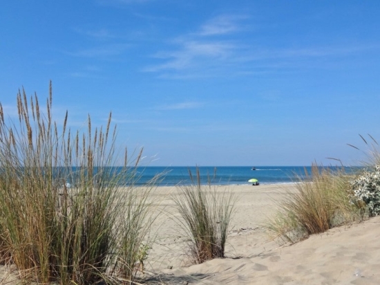 Vacances au Soleil